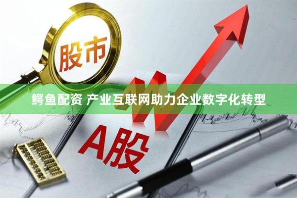 鳄鱼配资 产业互联网助力企业数字化转型