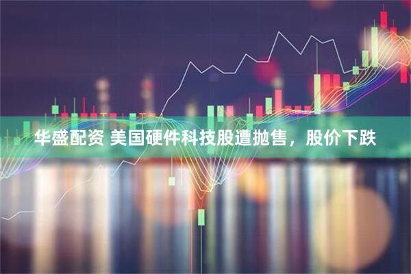 华盛配资 美国硬件科技股遭抛售，股价下跌