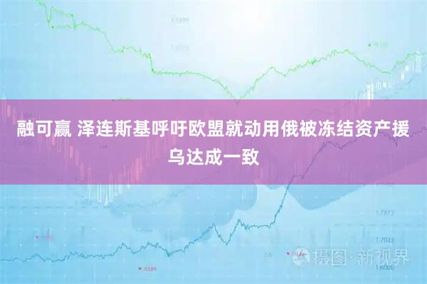 融可赢 泽连斯基呼吁欧盟就动用俄被冻结资产援乌达成一致